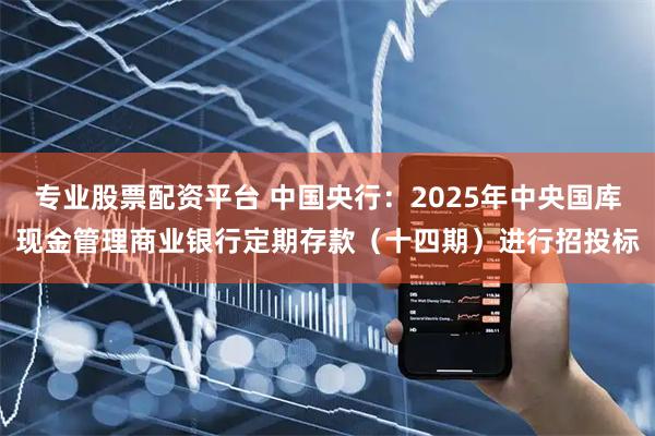 专业股票配资平台 中国央行：2025年中央国库现金管理商业银行定期存款（十四期）进行招投标
